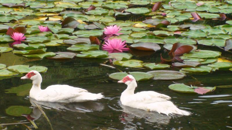 Nirvana Spiritual Retreat Gloucester Εξωτερικό φωτογραφία